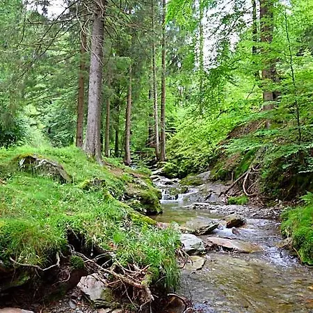 Marschalls Am Rennsteig 酒店