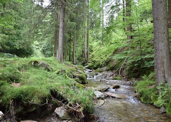 Marschalls Am Rennsteig Otel